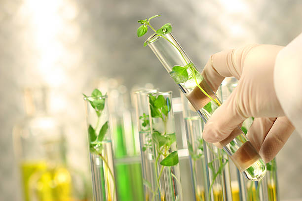 CHIMIE DE L'EAU ET DE L'ENVIRONNEMENT