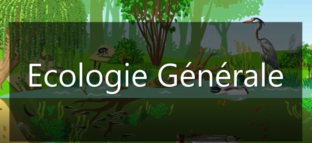 ECOLOGIE GENERALE