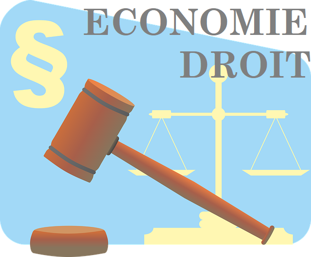 DROIT ECONOMIQUE